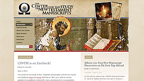 A screenshot of the new CSNTM website