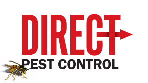 A screenshot of the new YWAM Ozarks website